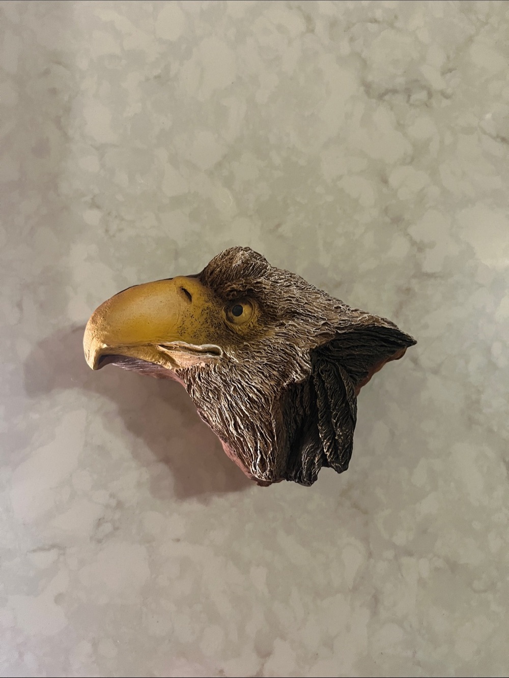 Sculpted Eagle Head by Gary Rose hand painted Realistic Resin Trinket Box